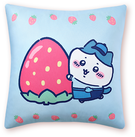 2. 가르마 쿠션 앞면