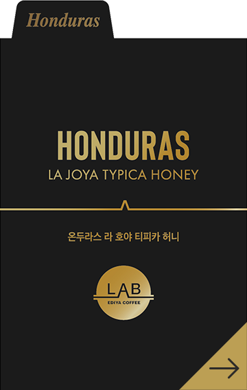 온두라스 라 호야 티피카 허니