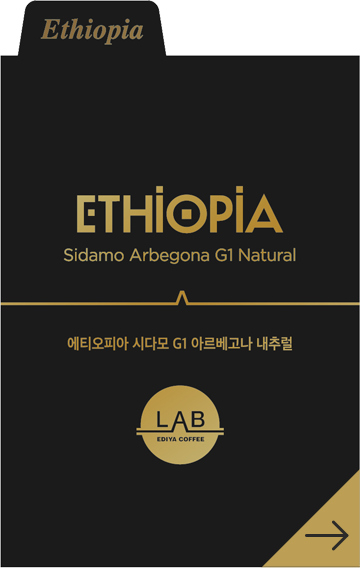 에티오피아 시다모 G1 아르베고나 내추럴